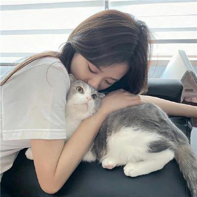 随心所问